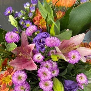 Meet your Posher, Lily